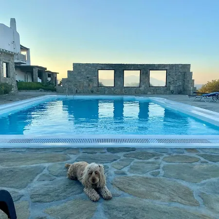 Ruffi Mykonos Villa *